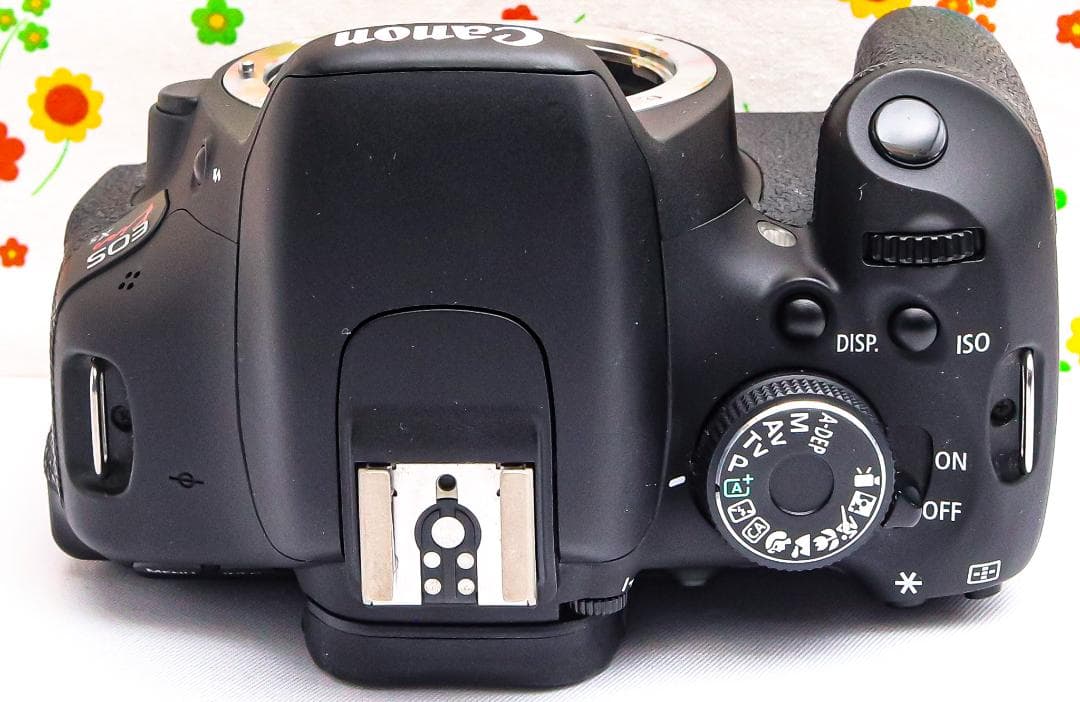 Canon Kiss X5 ☆スマホに転送可☆初めての一眼レフに☆自撮りもOK