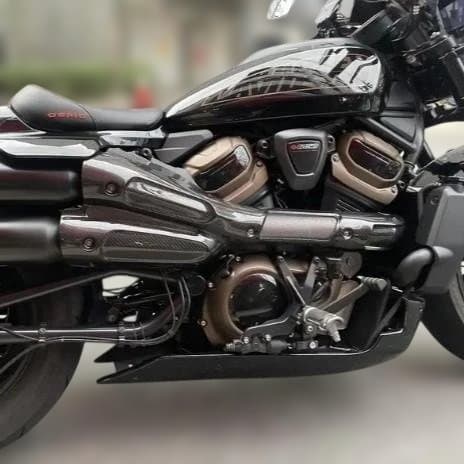 ドライカーボン マフラーヒートガード 2021年以降RH1250S #1073