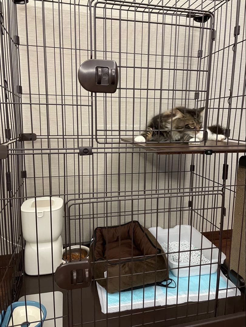 アイリスオーヤマ ペットケージ 2段 PEC-902