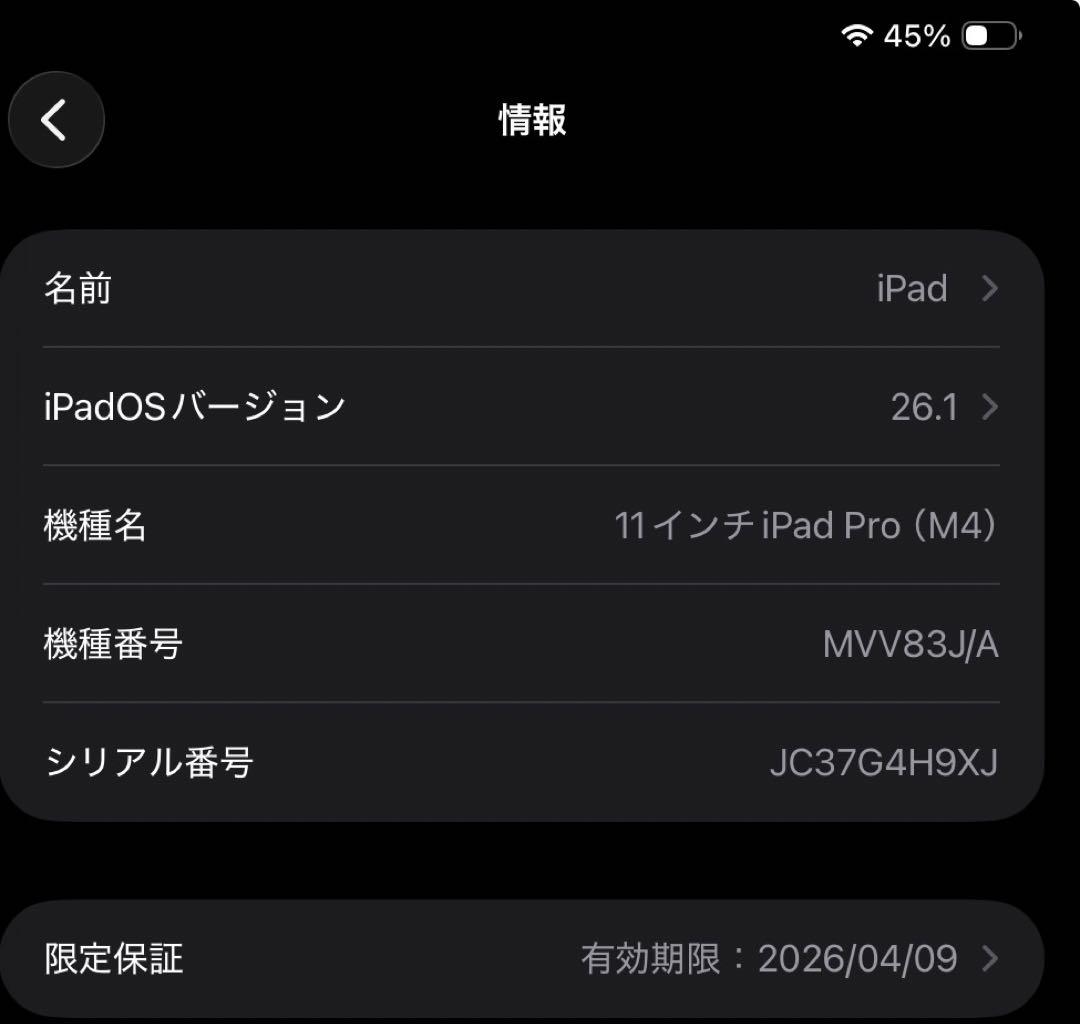 11インチ iPad Pro（M4）スペースブラック Wi-Fi 256GB