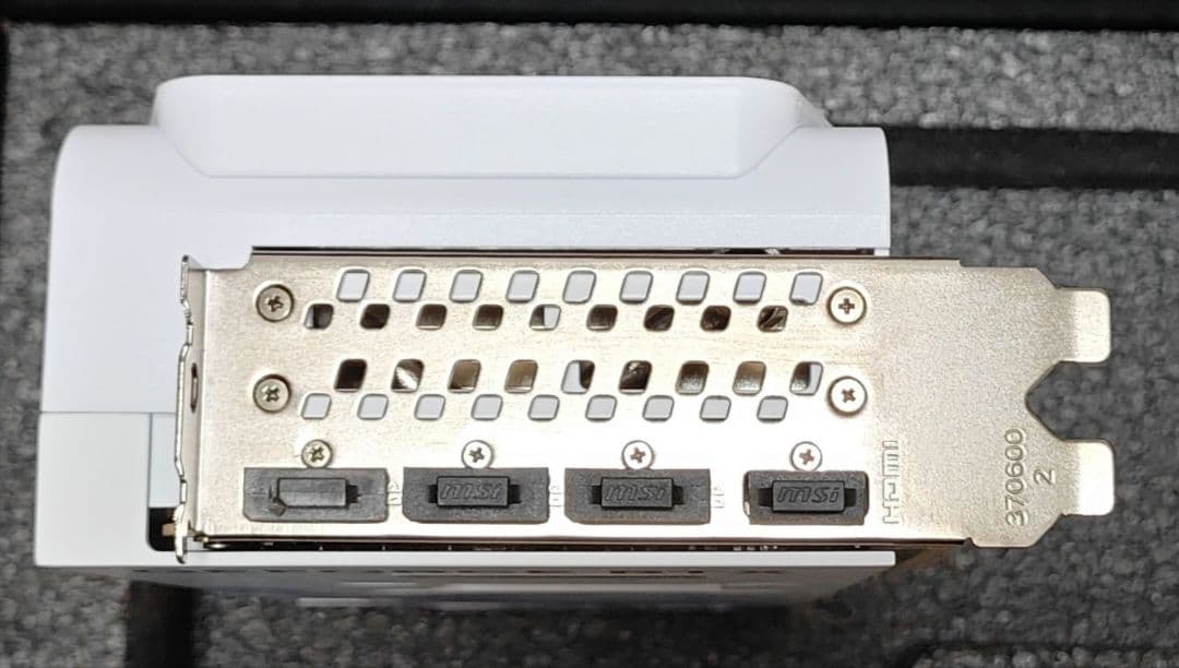 グラフィックボード・グラボ・ビデオカード Manli Polar Fox GeForce RTX 5080 OC 16GB