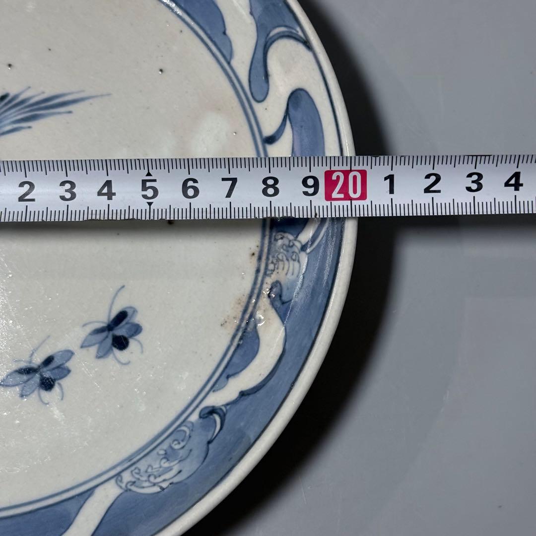 江戸中期　古伊万里　染付鳥蝶図七寸皿　裏唐草　鳥の躍動感！　20.4cm 古美術