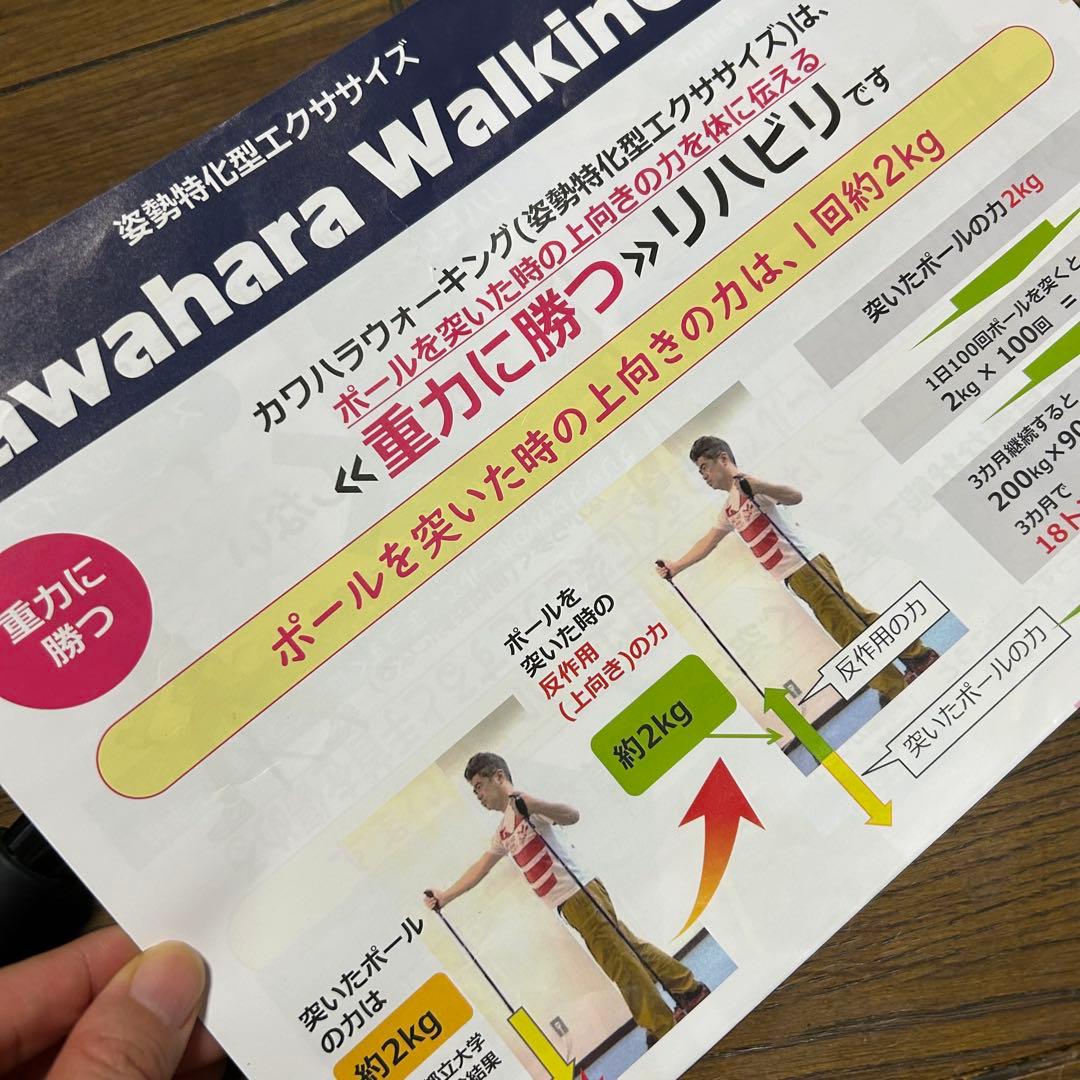 カワハラポール カワハラウォーキング 赤