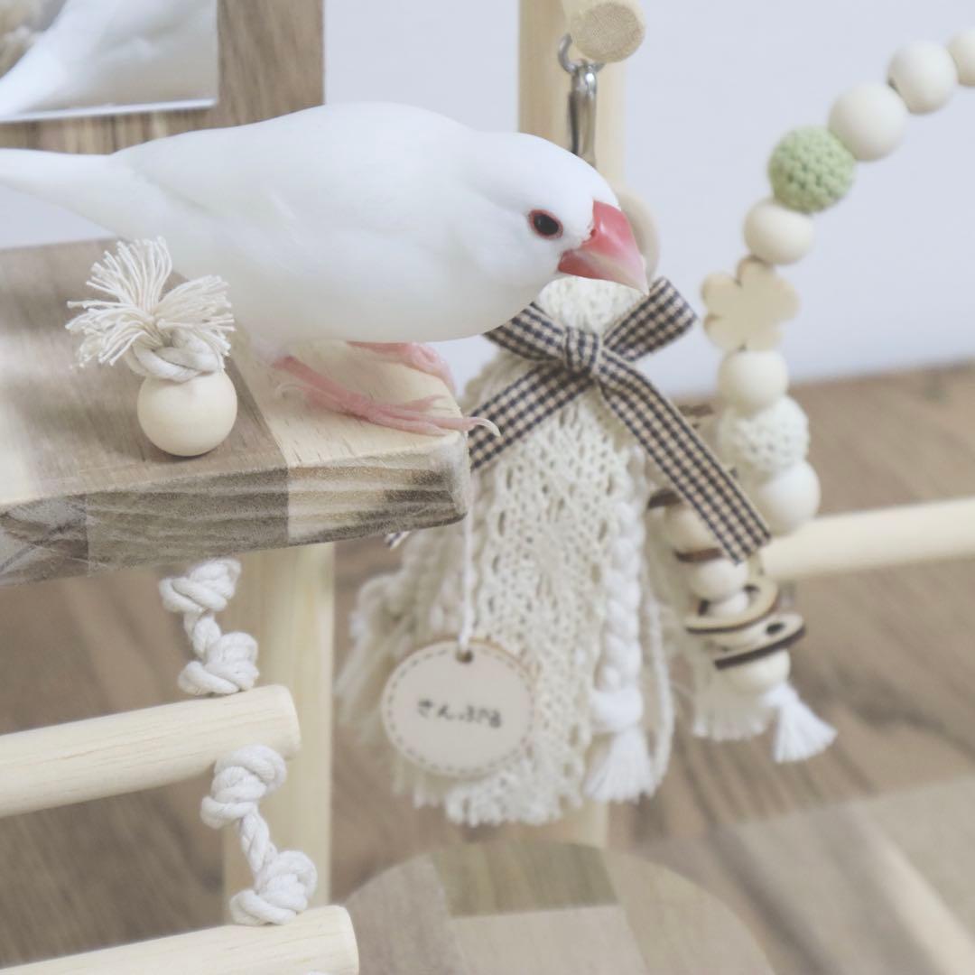 ことりのあそびば　ミラー付き　文鳥　インコ　バードアスレチック　ブランコ