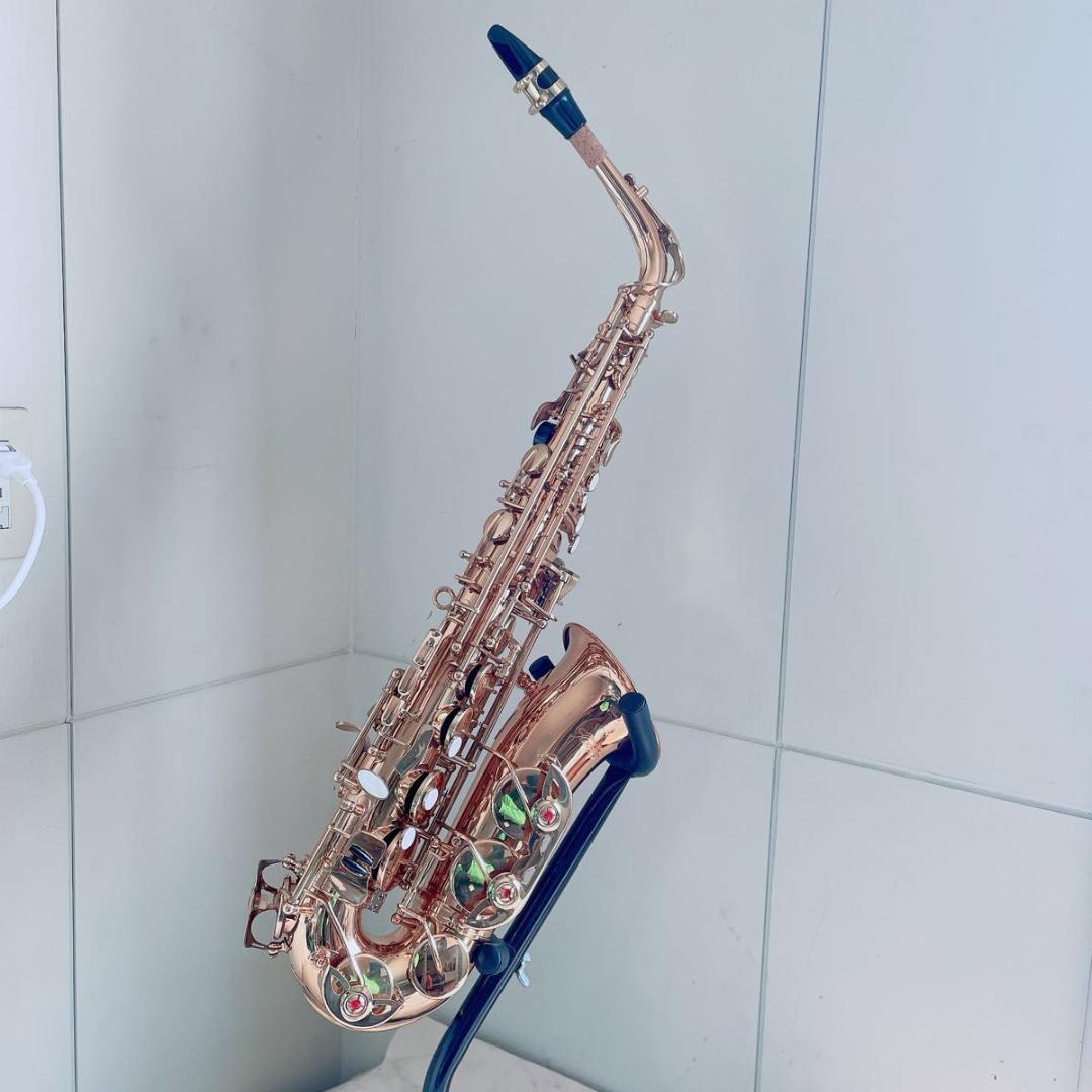 ケルントナー Kaerntner アルトサックス 彫刻入り 管楽器 N2624