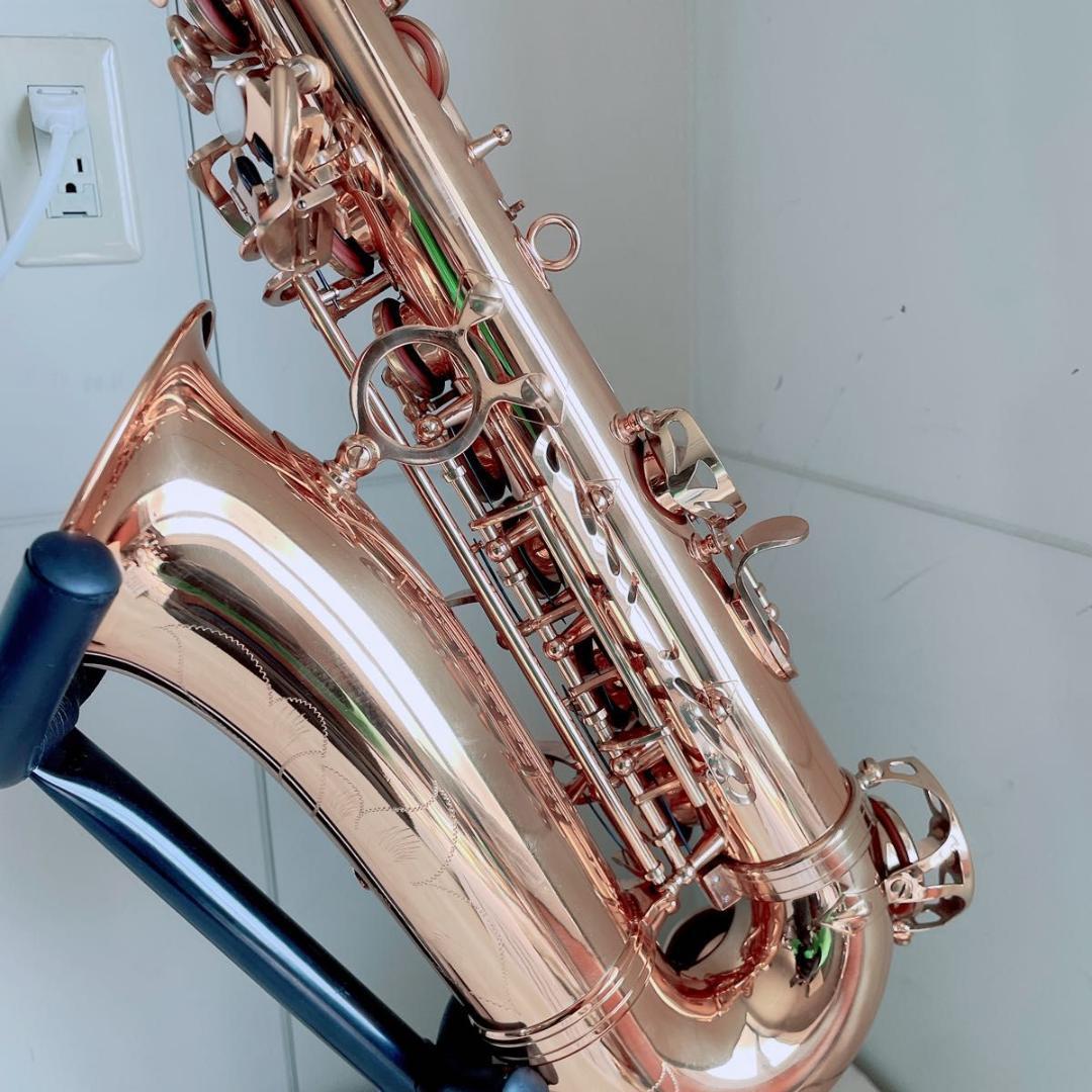 ケルントナー Kaerntner アルトサックス 彫刻入り 管楽器 N2624