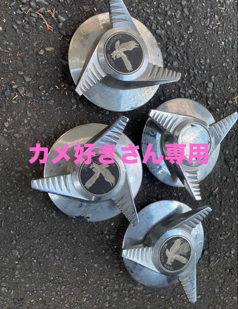 カメ好きさん専用