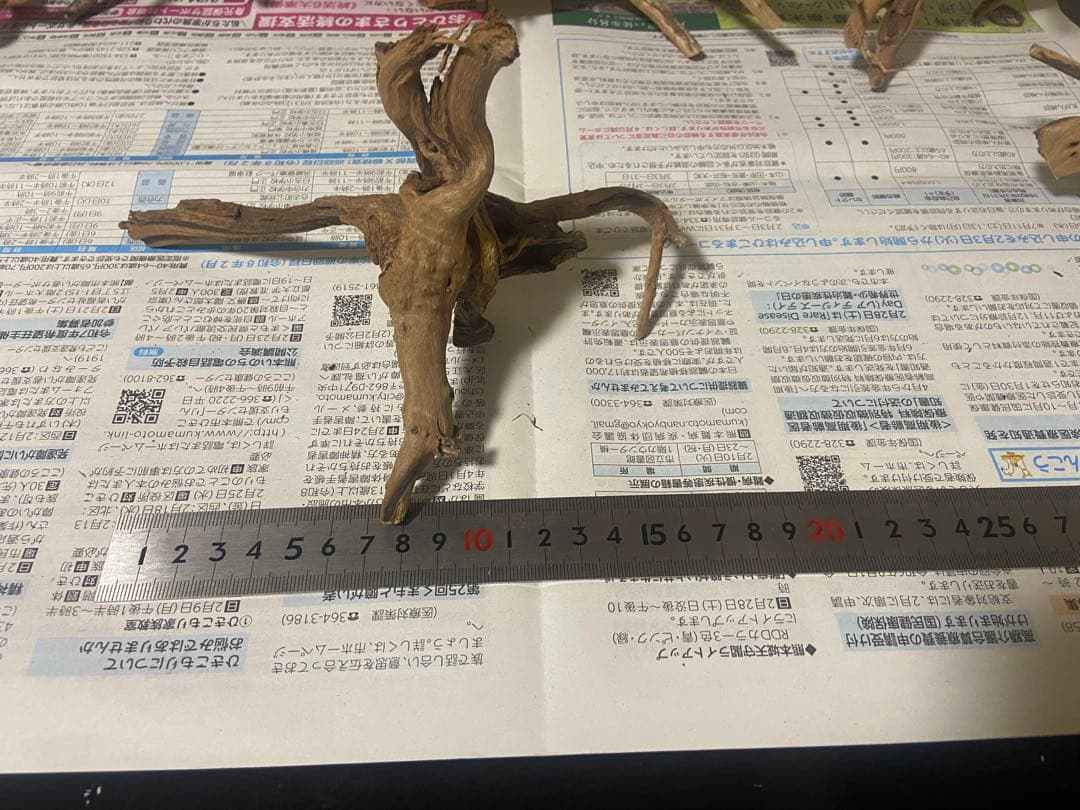 ブランチウッド　17点 まとめ品　未使用品