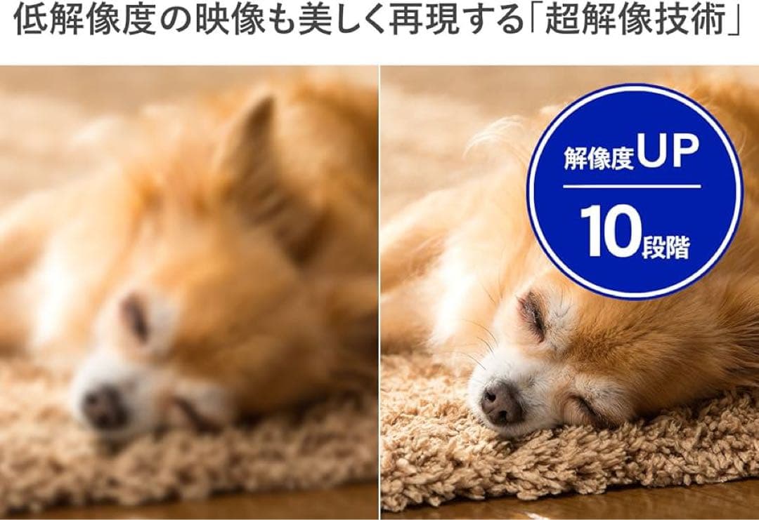 I-O DATA EX-LDQ241DB 23.8インチ WQHD モニター