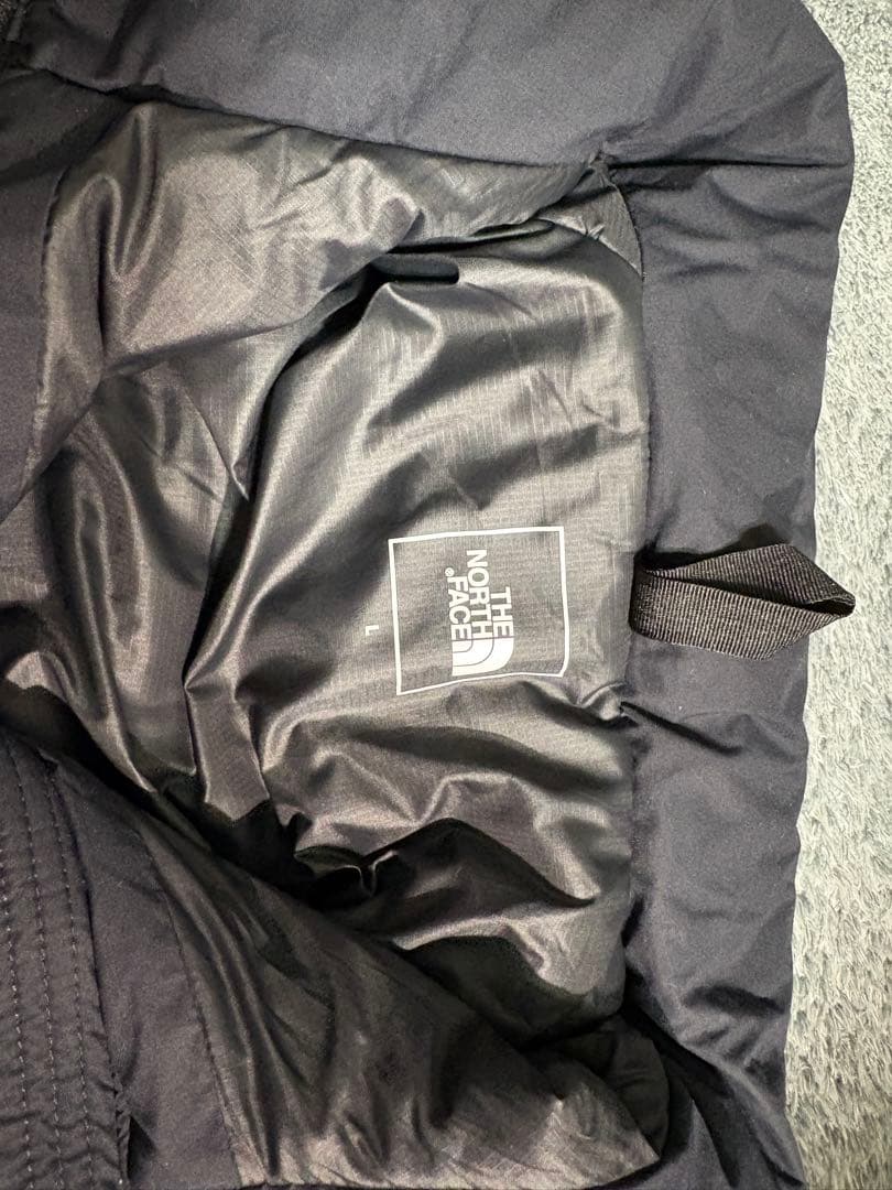 The north face ジップインサニーヌックジャケット