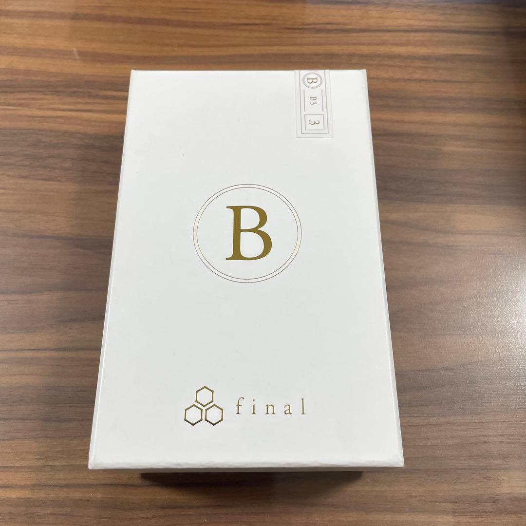 【希少】final B3 有線イヤホン
