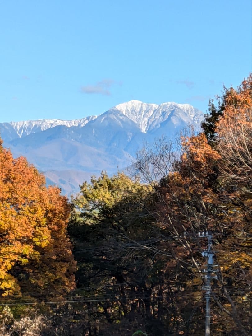 新宿ページです♡