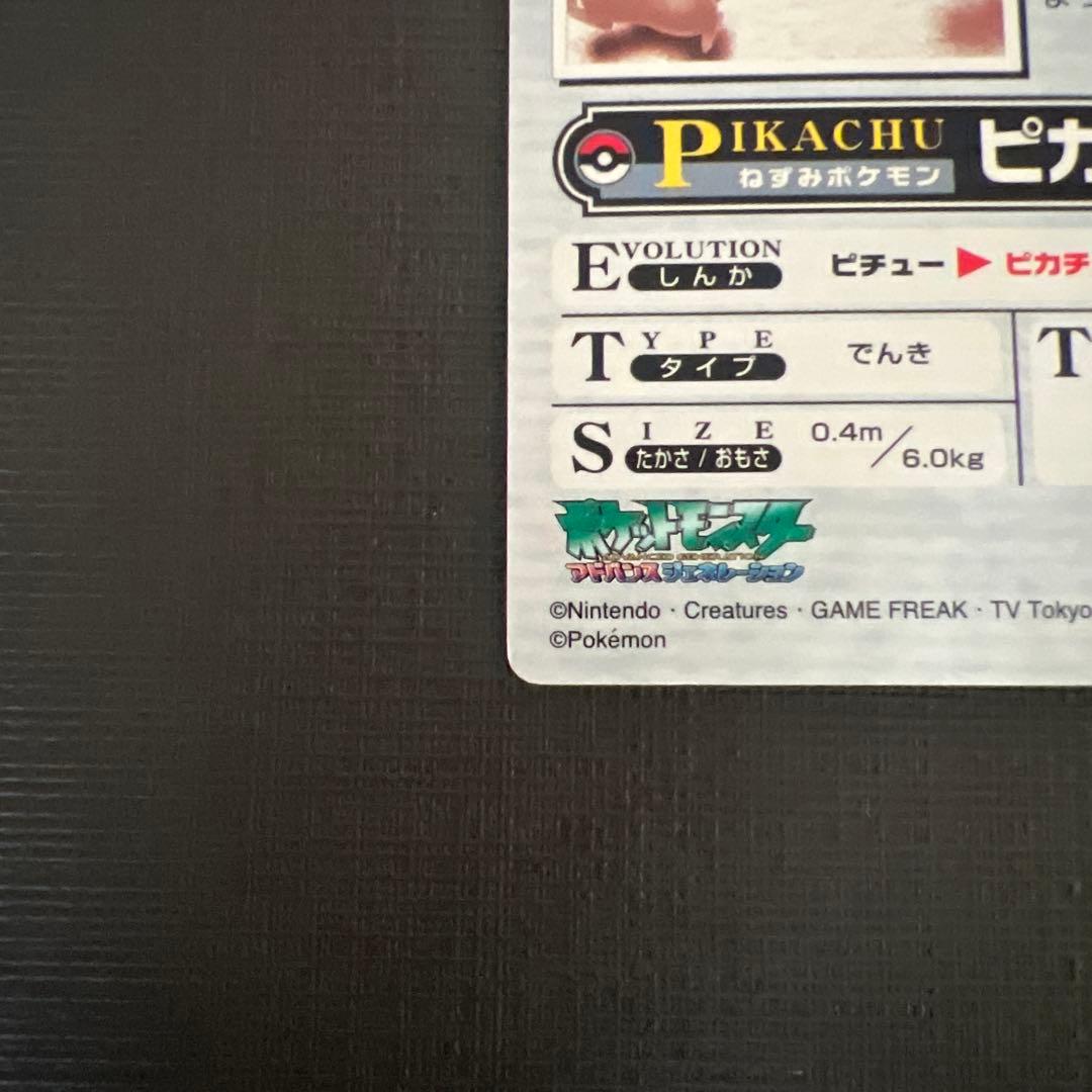 猫*様 THE POKEMON WEEKLY 【5月第4号】 ピカチュウ