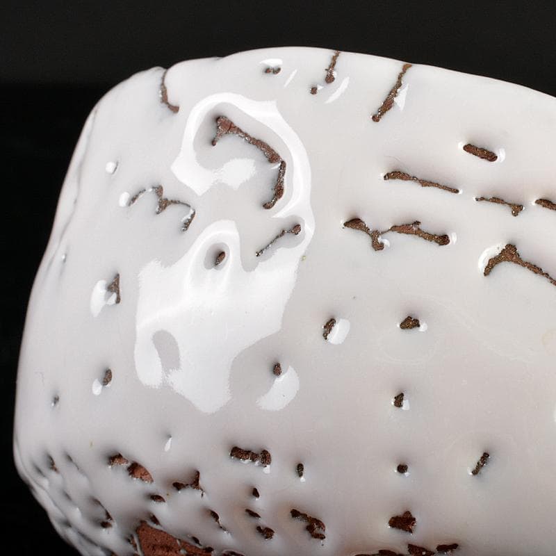 萩焼　十世　坂高麗左衛門作　白萩茶碗　銘「山里」　淡々斎極め箱　M　R6049