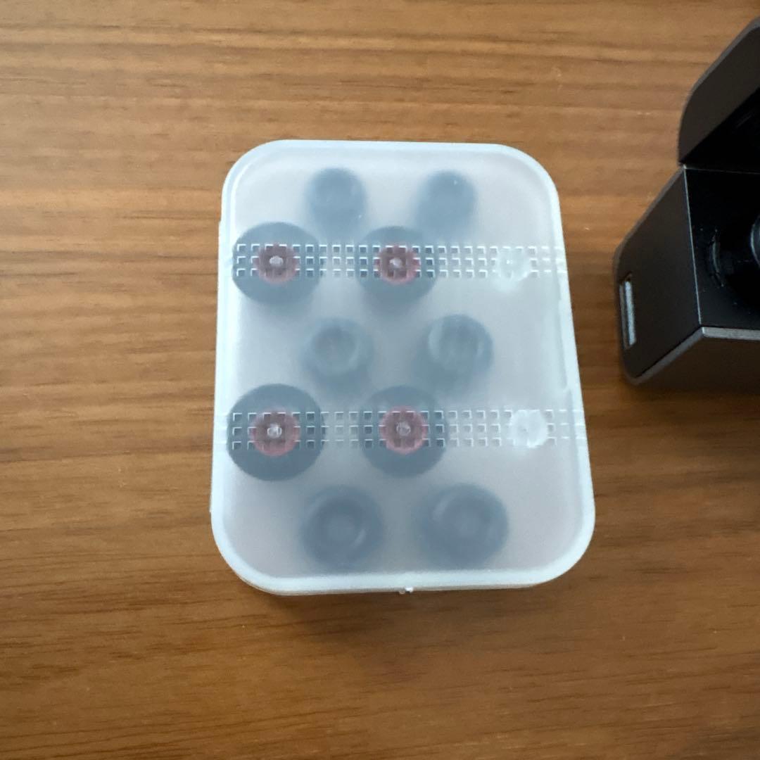 SHARP MH-L1SG ワイヤレスイヤホン SUGOMIMI