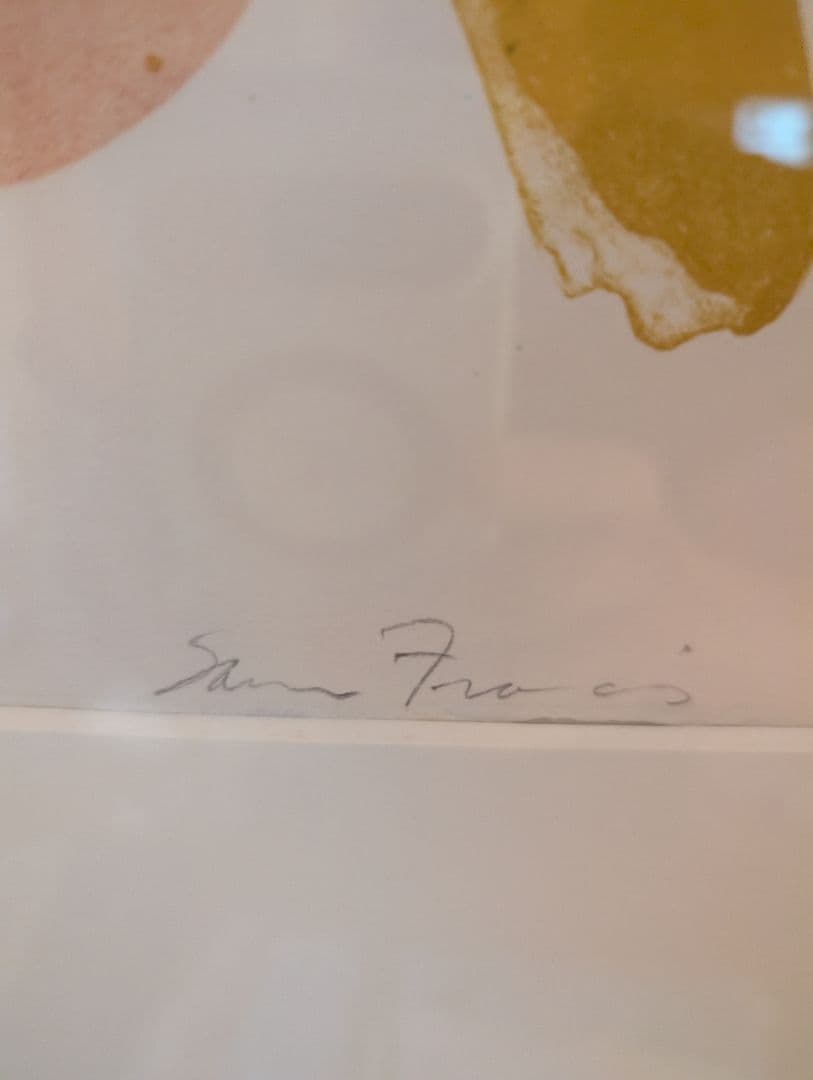 サム・フランシス作品