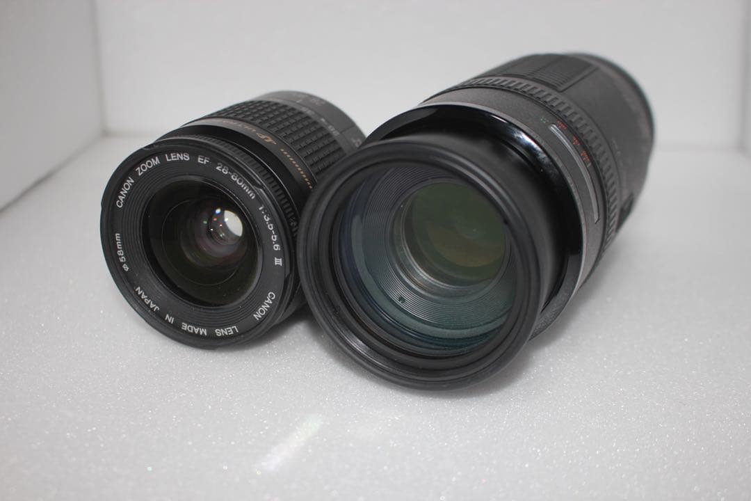 一眼レフ　Canon EOS 6D Mark II標準&望遠ダブルレンズセット