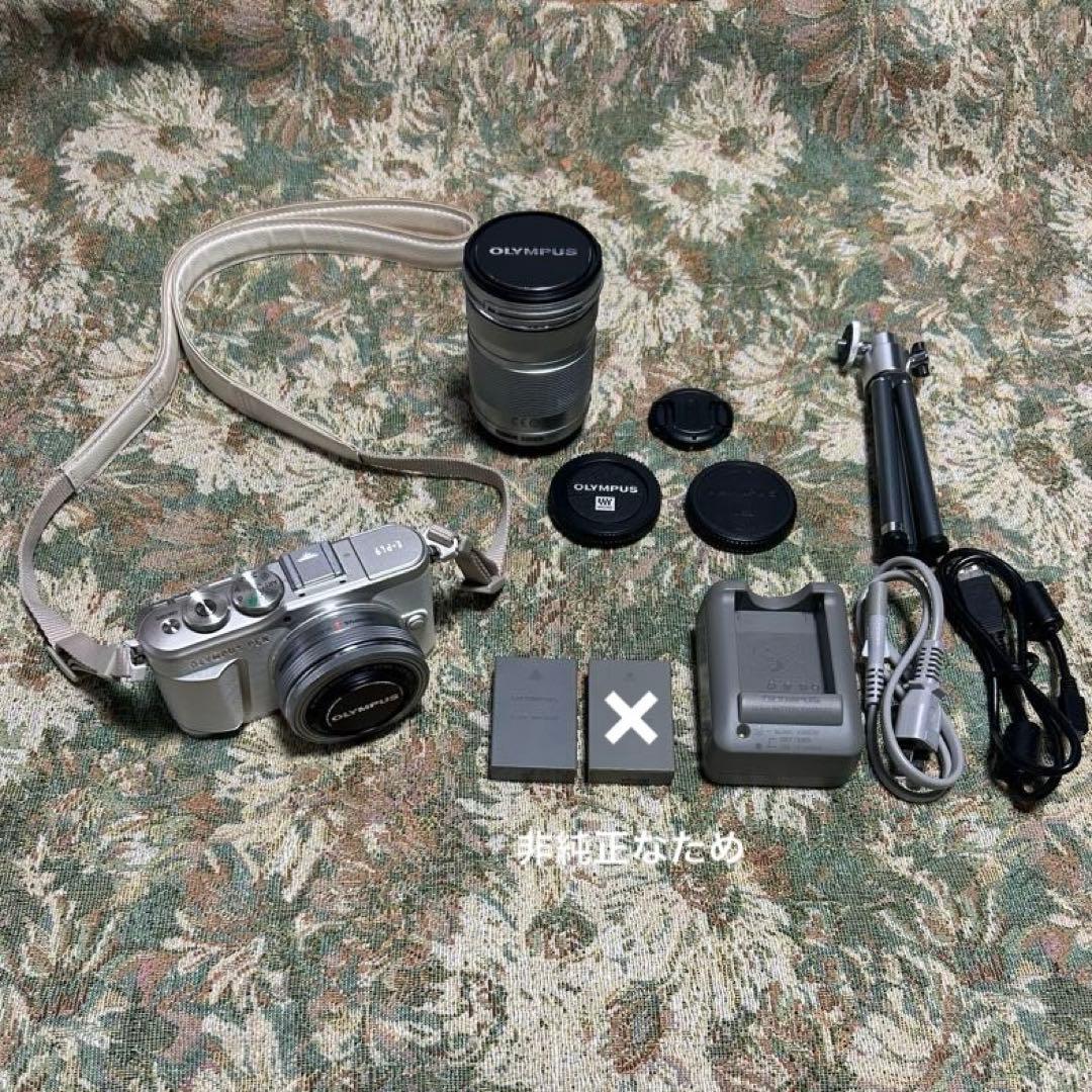 ✳︎即使用可能セット✳︎ Olympus E-PL9 デジタル一眼