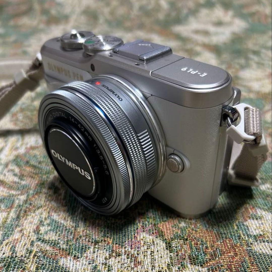 ✳︎即使用可能セット✳︎ Olympus E-PL9 デジタル一眼