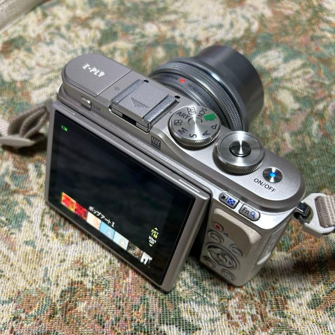 ✳︎即使用可能セット✳︎ Olympus E-PL9 デジタル一眼