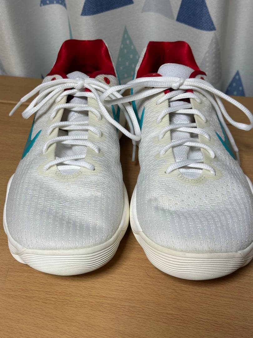 NIKE ハイパーダンク2017 28.5cm