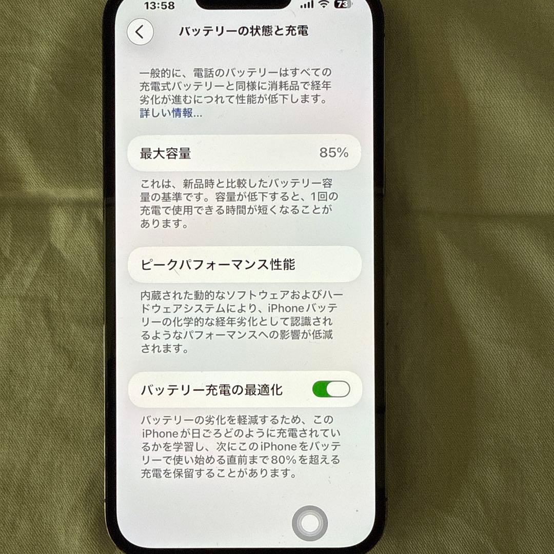 Apple iPhone 13 Pro Max グラファイト