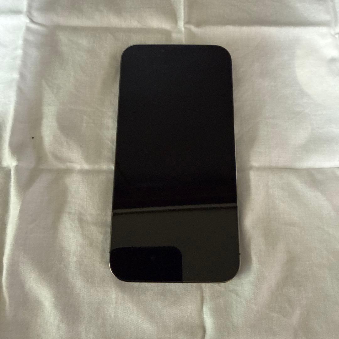 Apple iPhone 13 Pro Max グラファイト