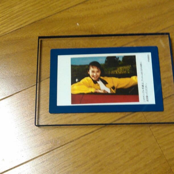 ポラロイドカメラ一眼レフカメラピクチャーウインドウ搭載オートフォーカス