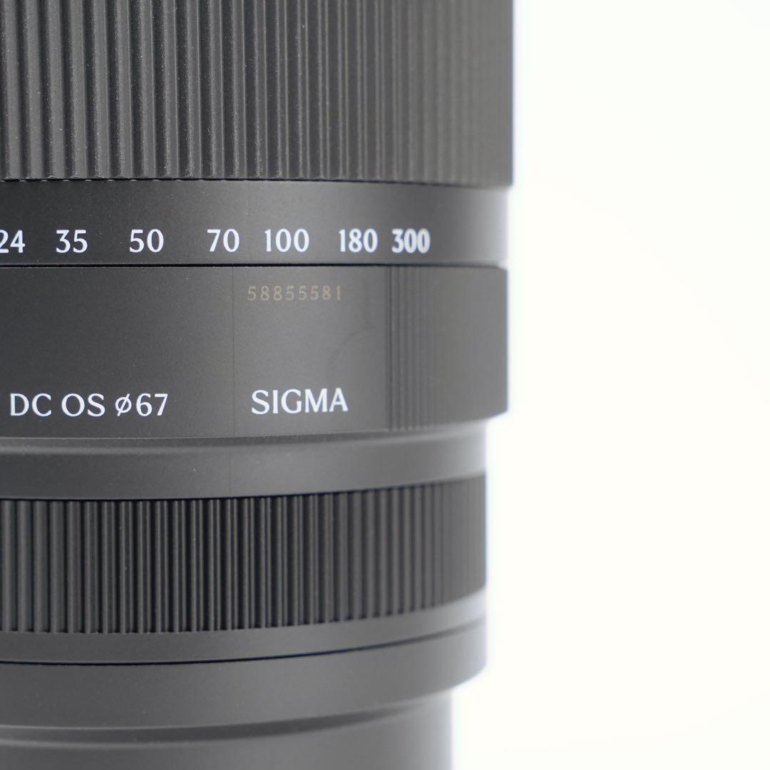 SIGMA 16-300mm F3.5-6.7 DC OS ズームレンズ
