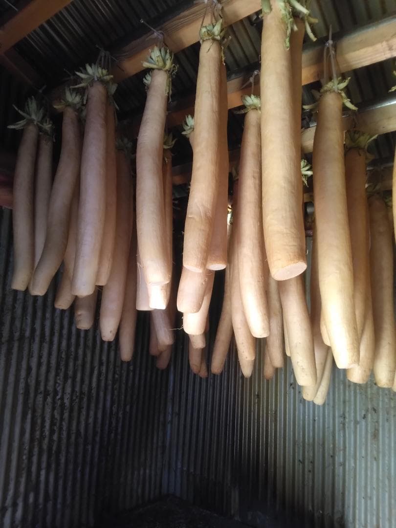 【あまざけ】さん専用の商品