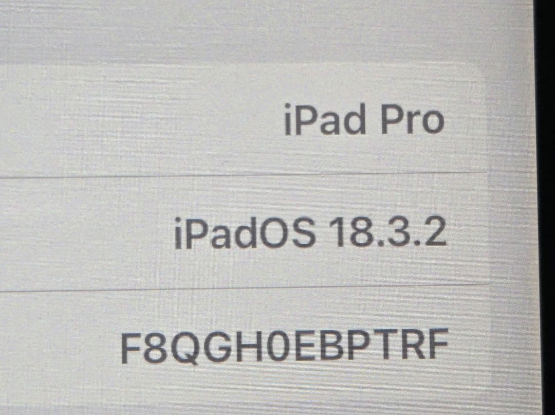 iPad Pro 11インチ スペースグレー 本体　Apple Pencil付き