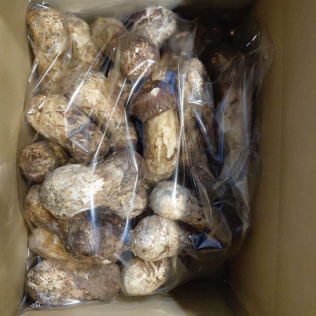 中国産松茸1kg 福岡から翌日お受け取り地方限定