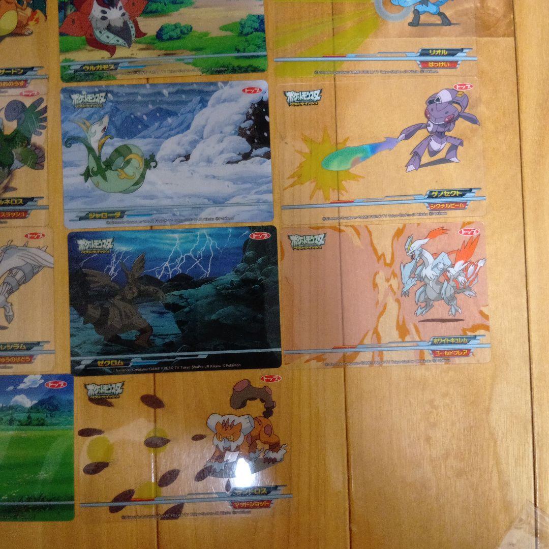 トップサンリザードン