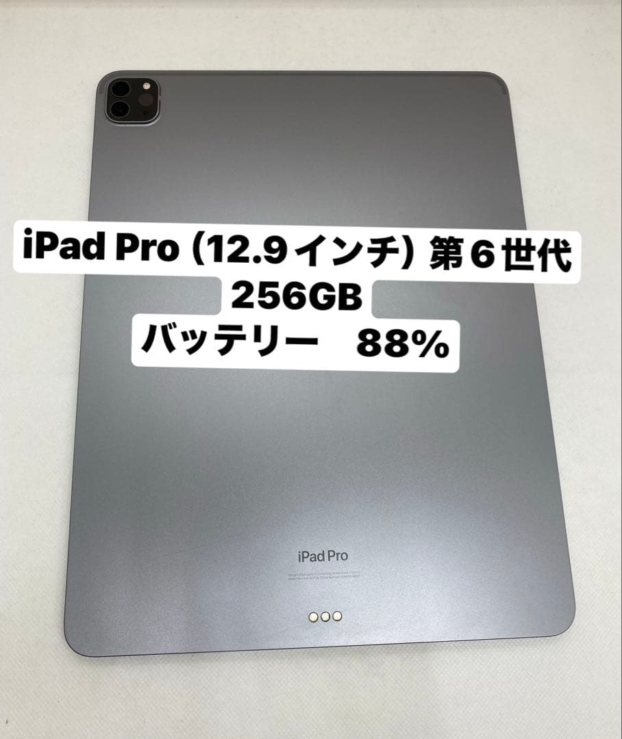 iPad Pro (12.9インチ) 第6世代 256GB FN9Q2