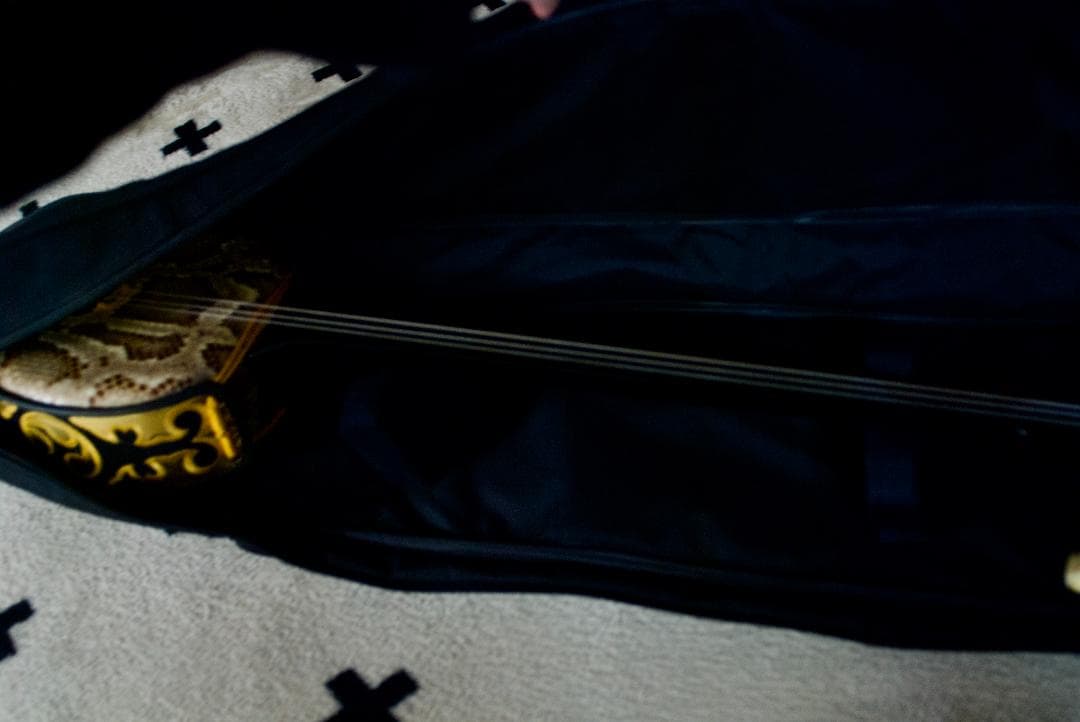 三線　沖縄　本皮強化張り ソフトケース付　初心者　三味線　送料込み