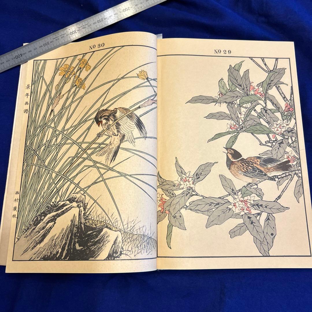 「景年花鳥画譜　春ノ部」1冊　今尾景年