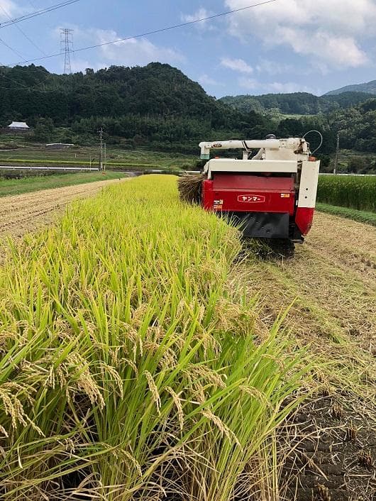令和7年度新米 大分県産 ヒノヒカリ 精米10kg★送料無料★農家直送★おまけ付