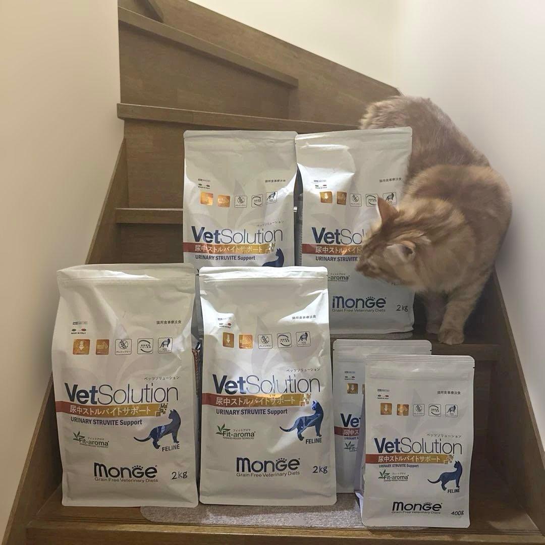 フ*ク様 Monge VetSolution 尿中ストルバイトサポート 8.8k