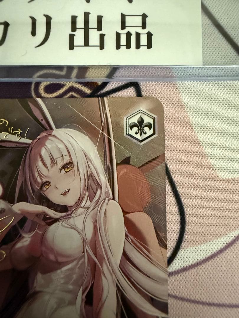 ショータイム　ブラン　SP、SSPセット