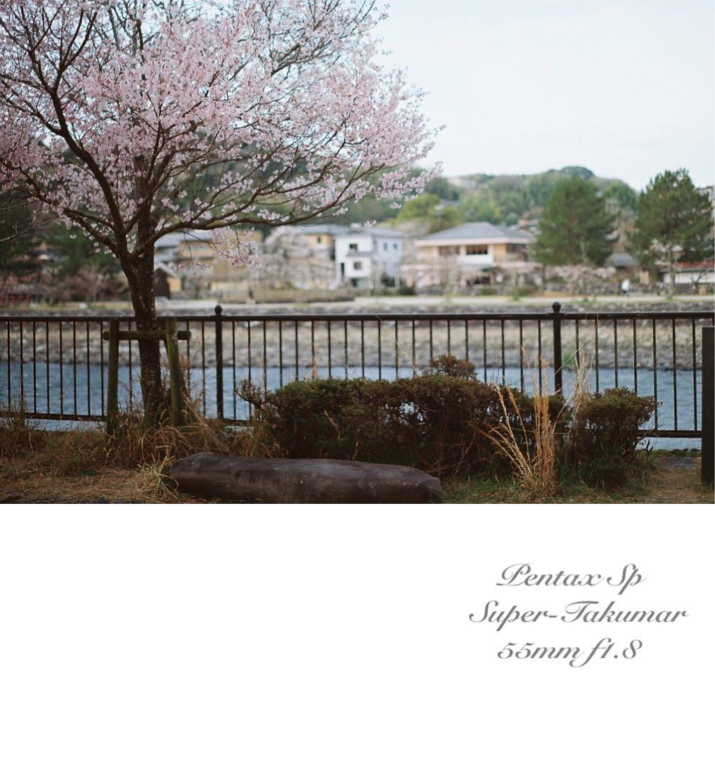 ★あっきぃ★初期保証付！pentax sp★作例多数★フィルム入門に！