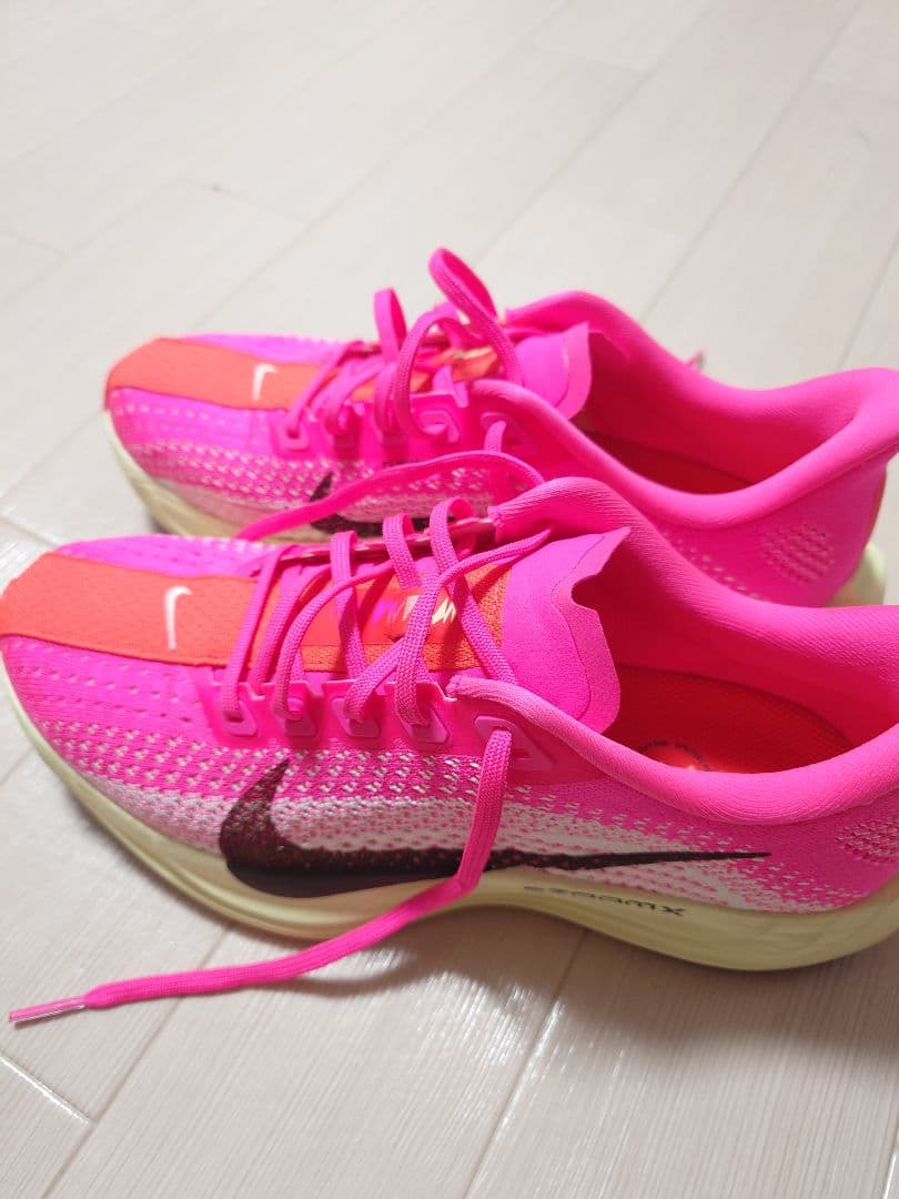 NIKE　ランニングシューズ ペガサス プラス 25.0cm