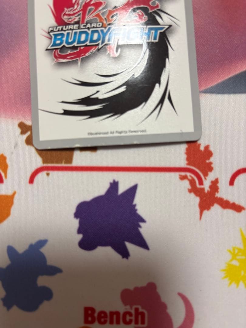 星*様 バディファイト