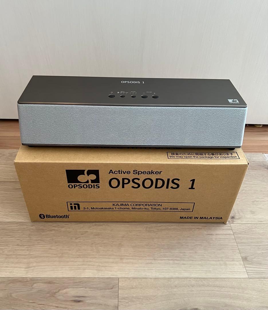 鹿島建設　OPSODIS 1 アクティブスピーカー