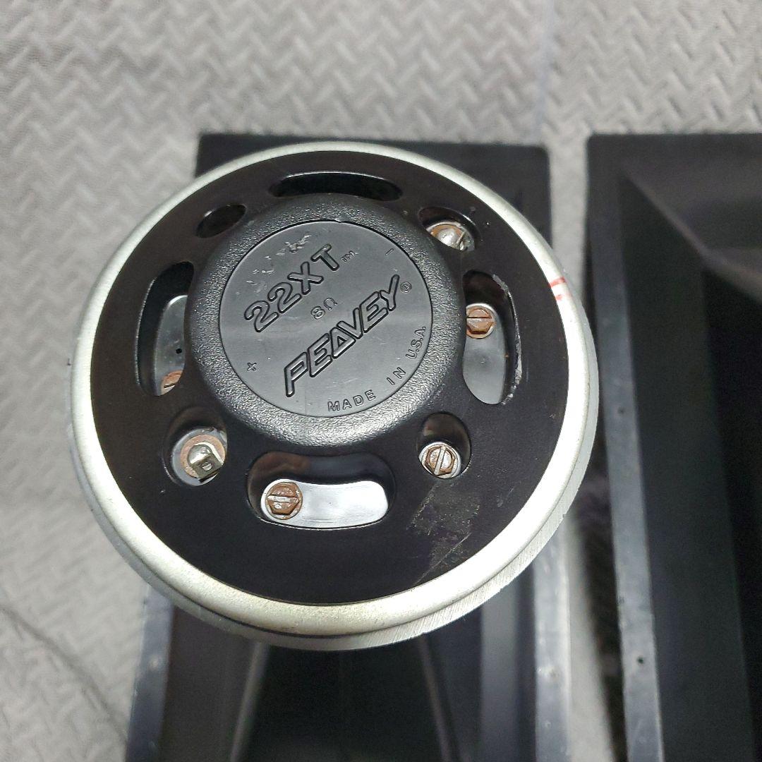 PEAVEY 22XT&ホーン　ペア
