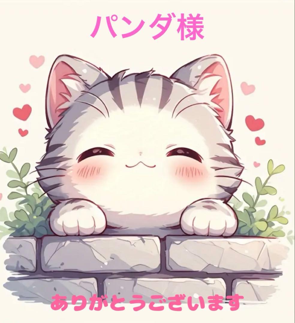 パンダ•*¨*•.¸♬︎ 6点リクエスト