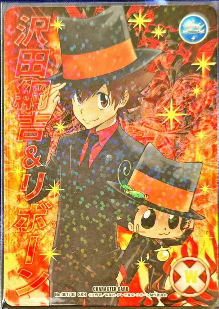 沢田綱吉＆リボーン B05 SKR 死ぬ気レア ツナ