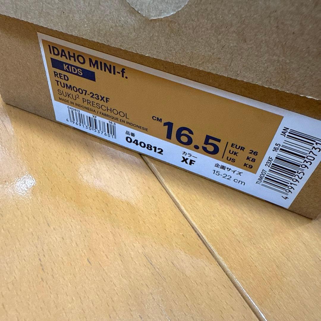 【新品】ファミリア　アシックス　スニーカー　16.5