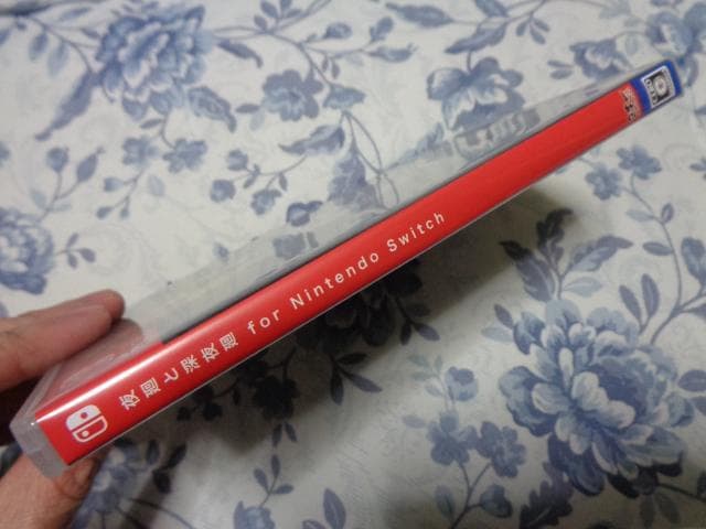 夜廻と深夜廻 for Nintendo Switch 動作可能