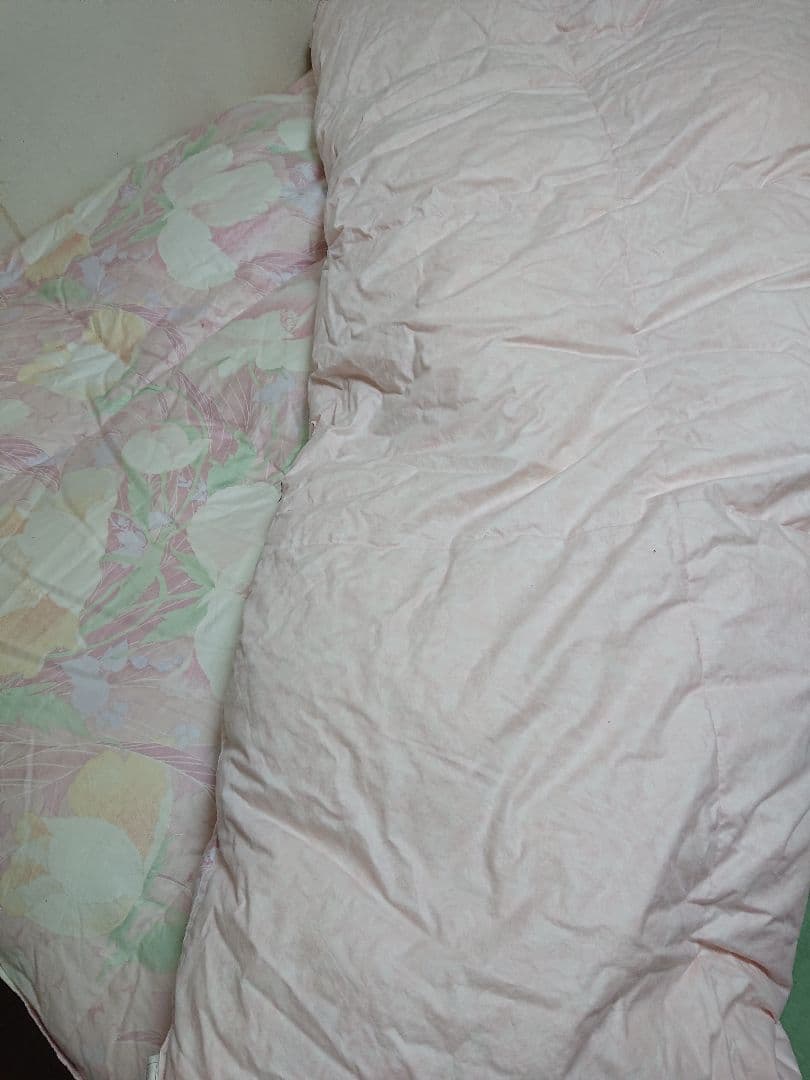 あ*ず様 羽毛布団 グース ダウン99％