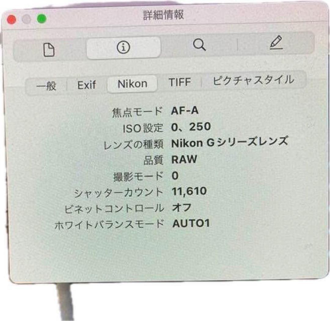 Nikon D610 純正ズームレンズ付き